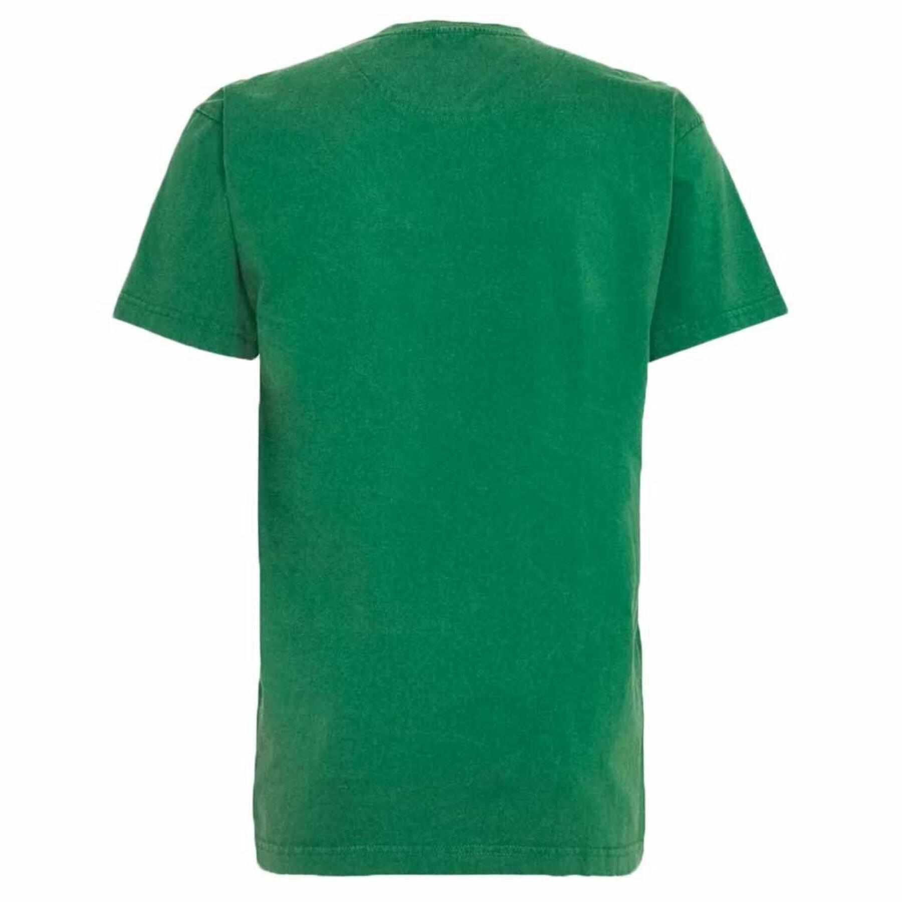 Logo noszonej koszulki Boston Celtics 2021/22