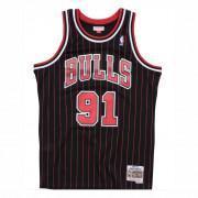 Autentyczna koszulka Chicago Bulls Dennis Rodman #91 1995/1996