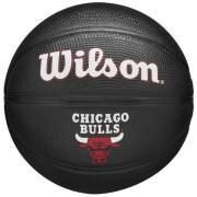 Mini balonik nba Chicago Bulls