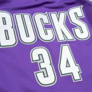 Autentyczna koszulka Milwaukee Bucks Ray Allen 2000/01
