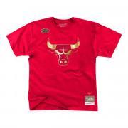 Koszulka Chicago Bulls mida