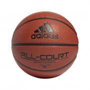 Koszykówka adidas All Court 2.0