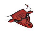 Bluza z kapturem Fusion fleece 2.0 Chicago Bulls