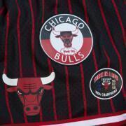 Szorty Chicago Bulls Hometown Mesh