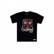 koszulka ostatniego tańca Chicago Bulls '96 champs