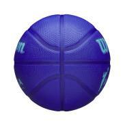 Balon Wilson WNBA Drive