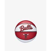 Mini balonik Chicago Bulls Nba Team Retro 2021/22