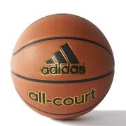 Koszykówka adidas All-Court